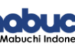 PT Mabuchi Indonesia