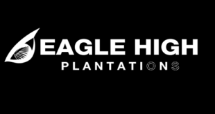 Gaji PT Eagle High Plantations Tbk