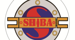 Gaji PT SHIBA HIDROLIK PRATAMA Lengkap Semua Posisi