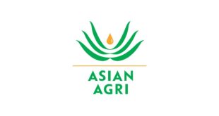 Gaji PT Asian Agri