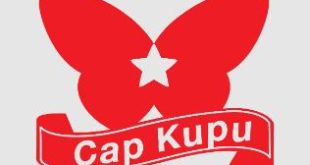 Gaji PT Bintang Kupu Kupu