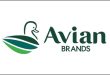 Gaji PT Avia Avian Tbk Terbaru
